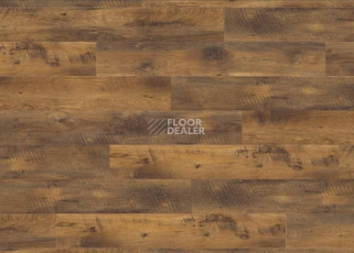 Ламинат Haro Tritty 100 4V ДУБ АЛЬТХОЛЬЦ 526678 фото 1 | FLOORDEALER